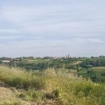 vista