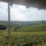 vista colline
