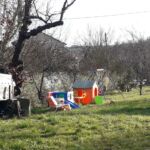 IMG-20190113-WA0006