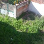 IMG-20190504-WA0029